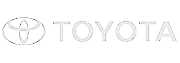 toy