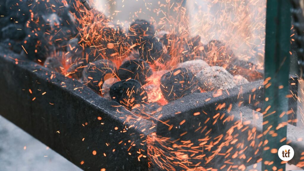 Types of Charcoal Available in Bulk