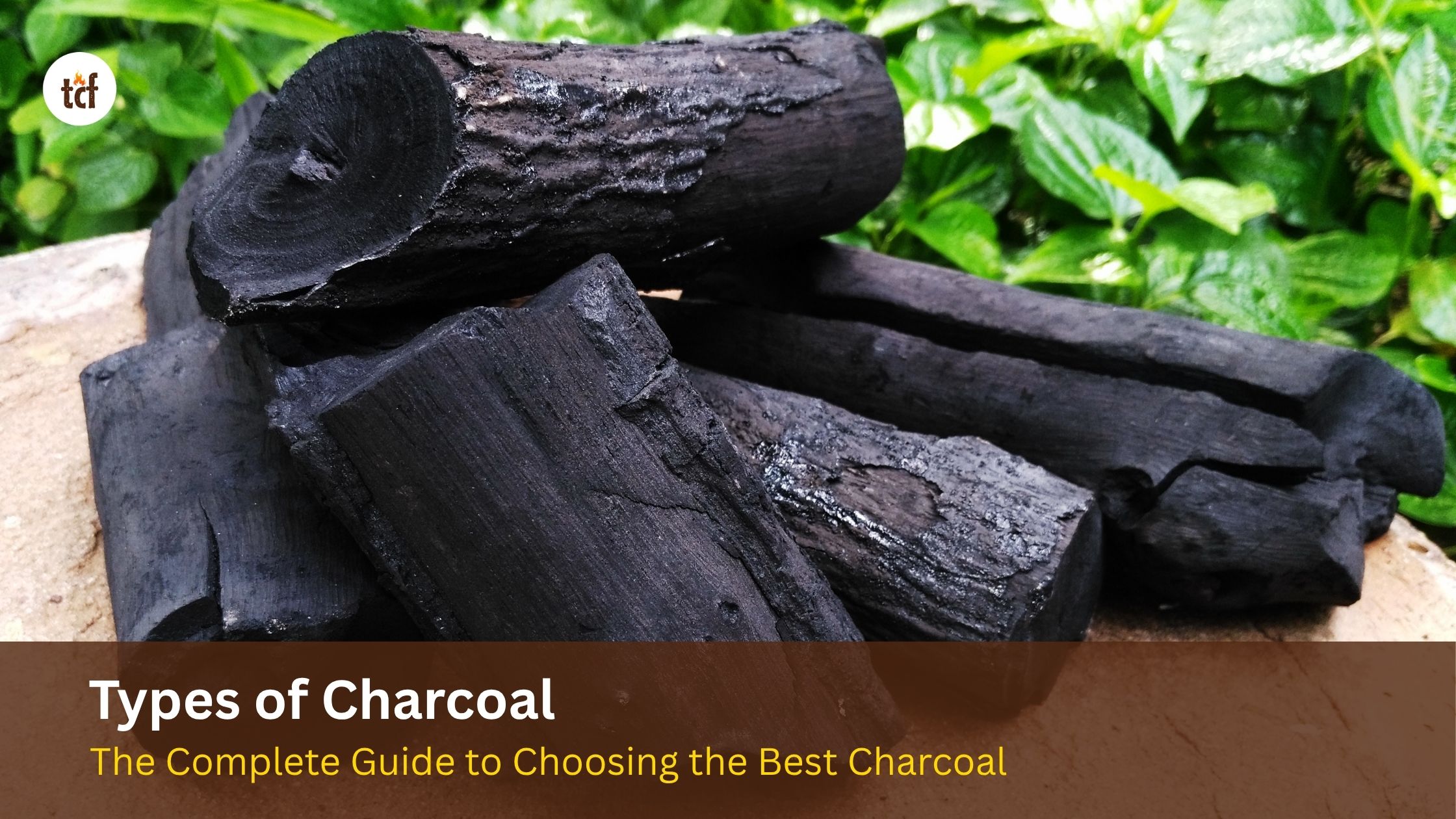 Types of Charcoal: The Complete Guide to Choosing the Best Charcoal