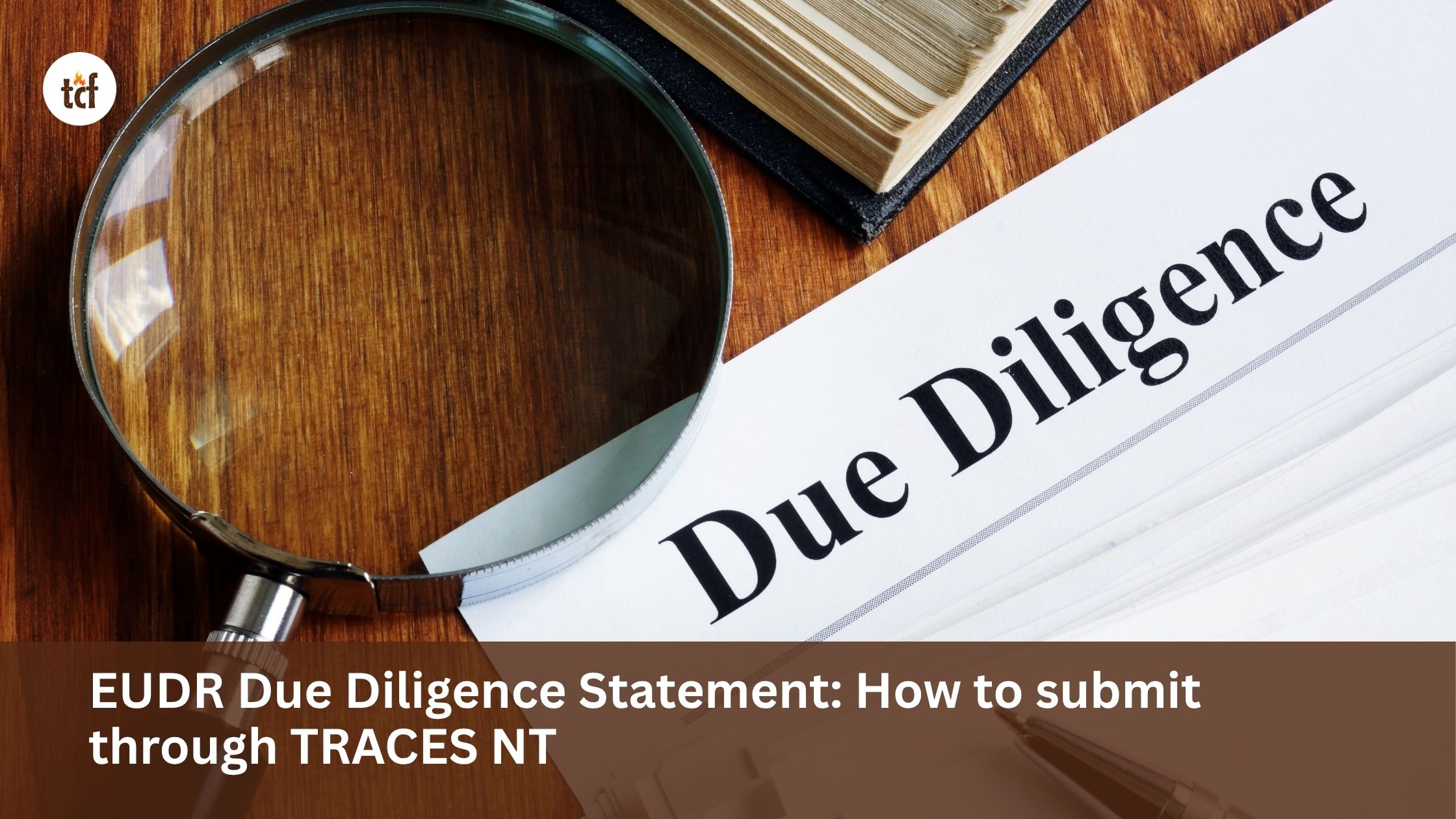 EUDR Due Diligence Statement: How to submit through TRACES NT